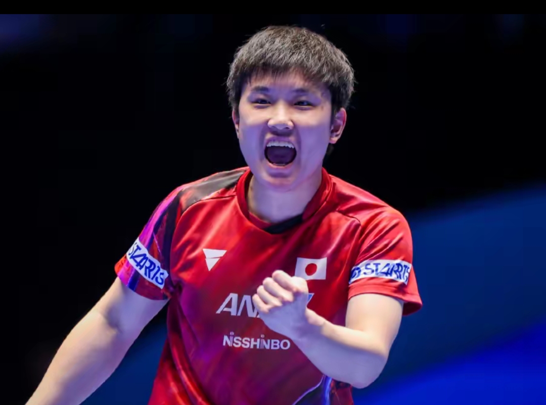 室的氛围 室的氛围